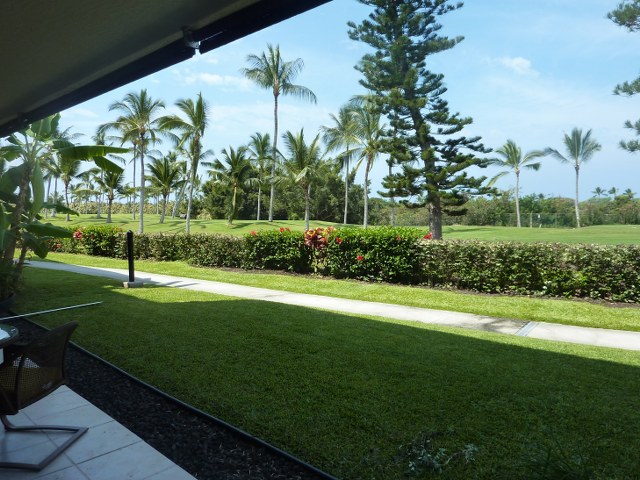 View from Lanai