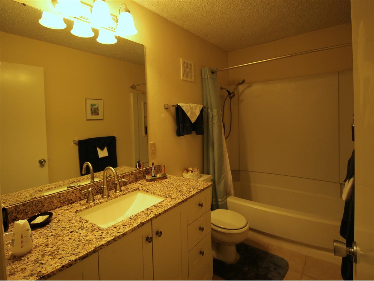 Main Bath Tub/Shower